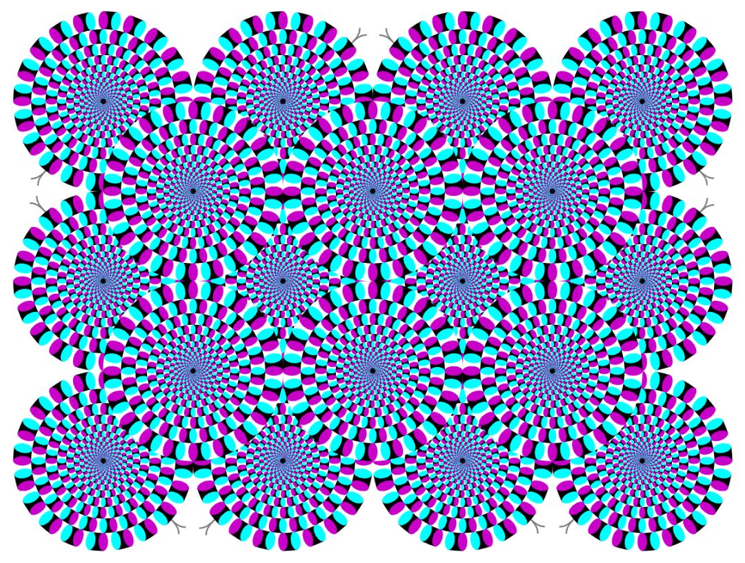 看完感觉脑子出了bug|视错觉_新浪新闻