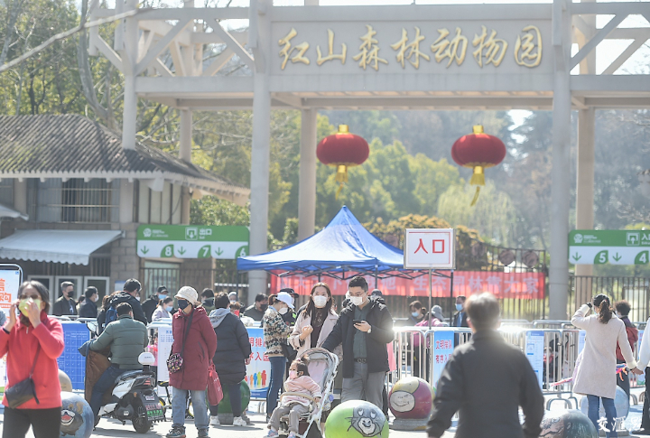 南京红山森林动物园即日起开园 每天限流2万人