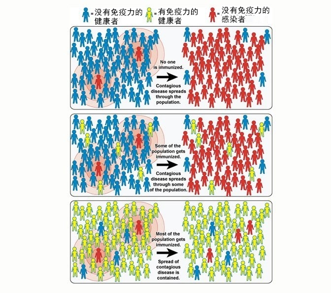 如何达到群体免疫，图自美国国家过敏和传染病研究所