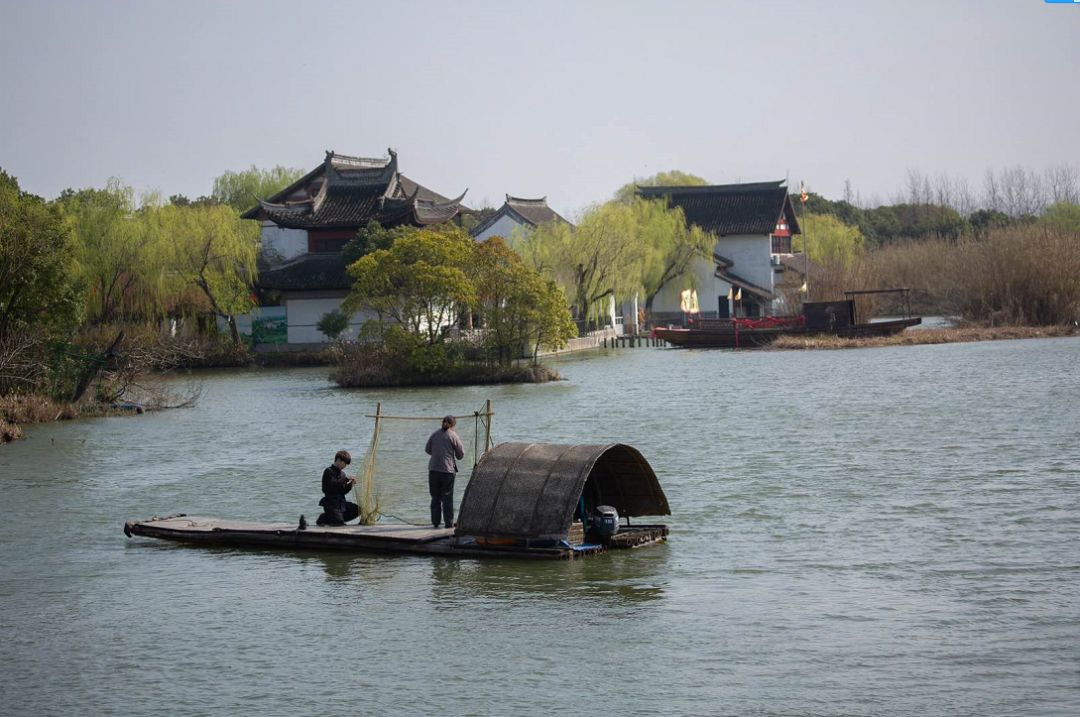 春日蘇州沙家浜,與百花相約