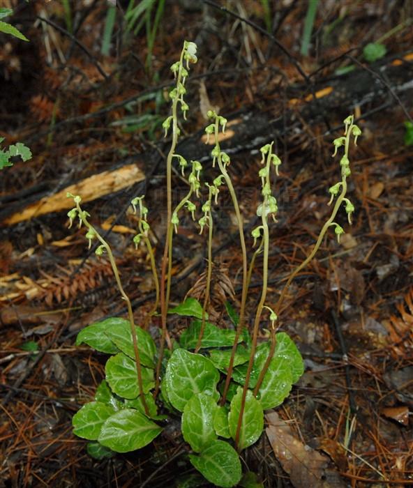 新闻搜索_新浪搜索_新浪网