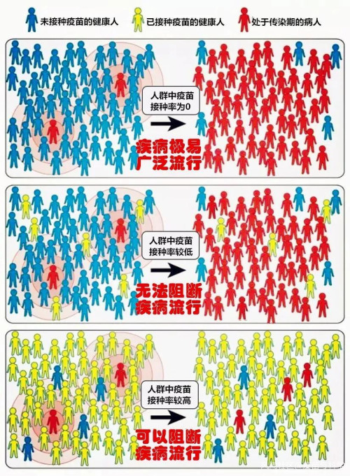 没有新冠疫苗,英国的【群体免疫】=【缴械投降】