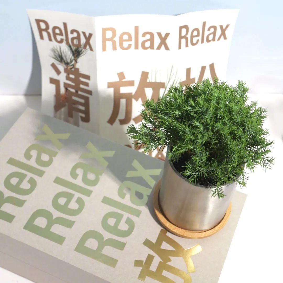 一盆放青松到底有多少意义,淘宝成了新梗诞生地
