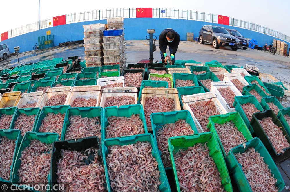 山东青岛:渔业复工复产 保障水产品供应