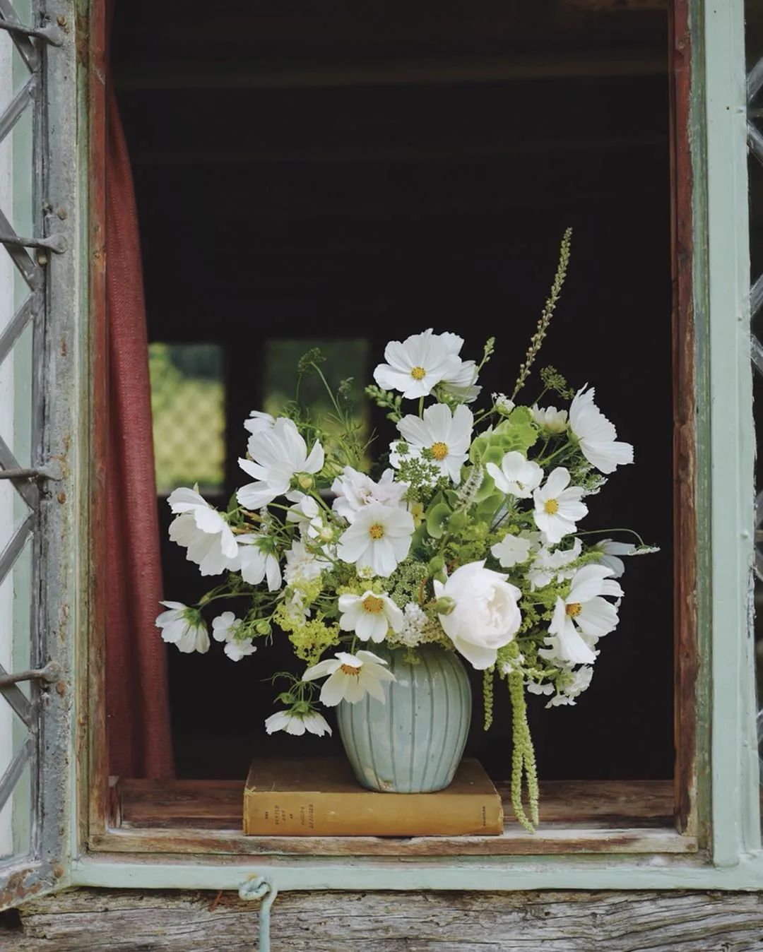 春日里,被忽略的窗台,鲜花盛开,真的太美了