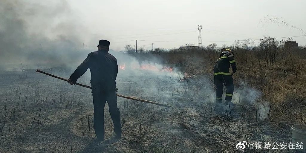 2020铜陵市枞阳县事_2020铜陵枞阳公安局招159名警务职位表_岗位(2)
