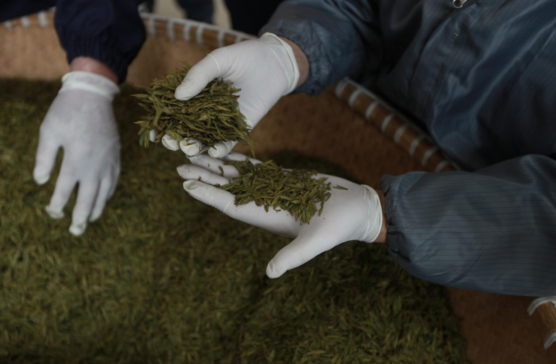 2020年西湖龙井排名_2020年西湖龙井“炒茶王”,是他!(2)