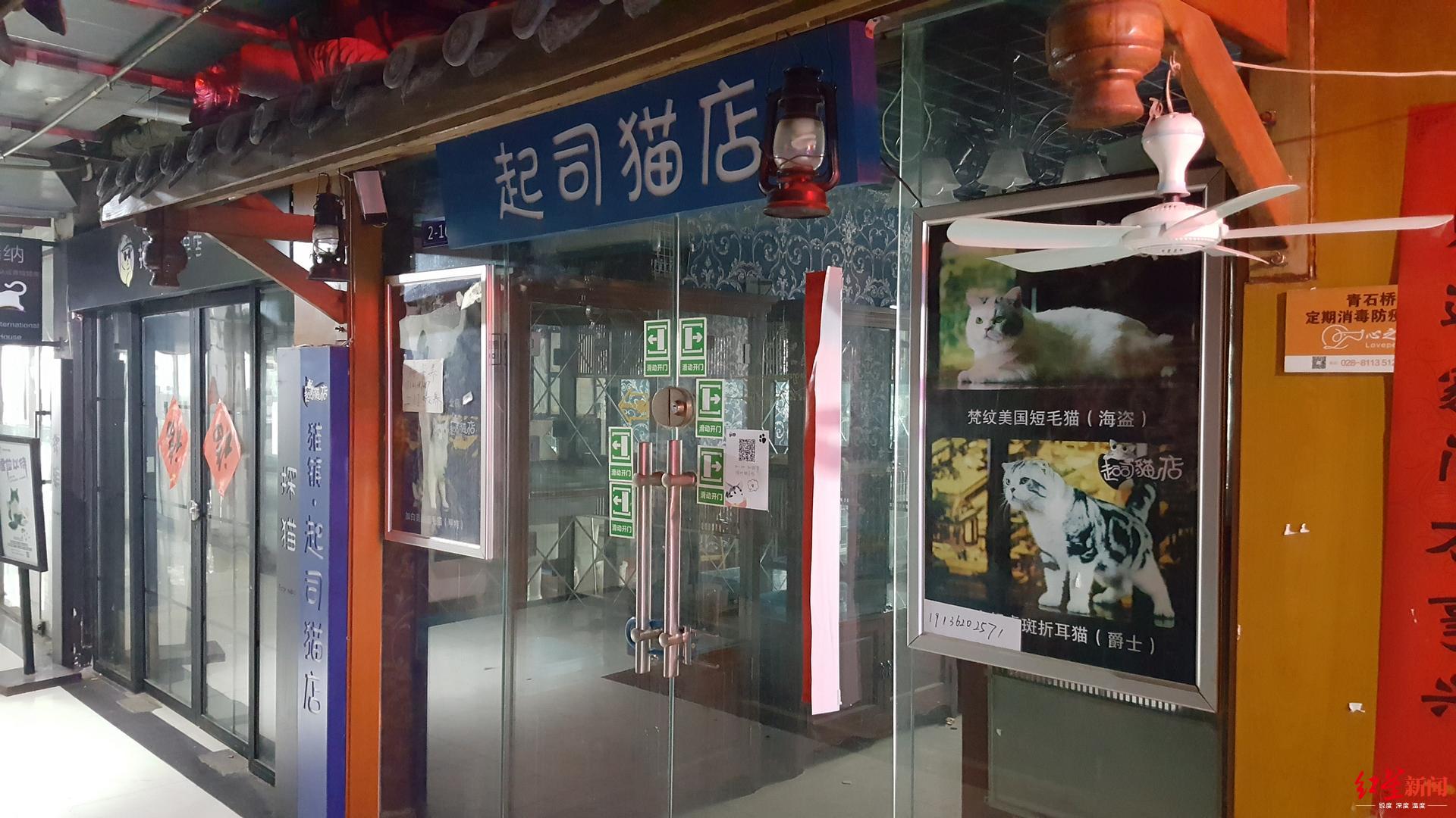 成都青石桥花鸟市场"归来":鱼龟花易购,猫狗鸟难寻