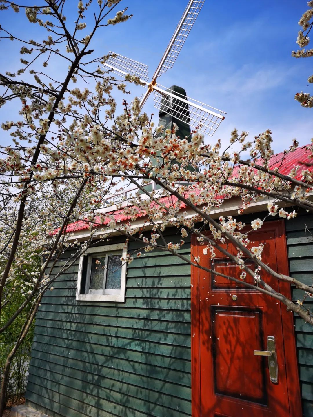 今日春分青岛未来3天将升温至20