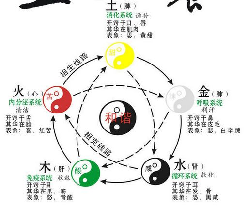 中医学讲 “五行、五气、五脏、五味、五色”|大肠|器官|情志_新浪新闻