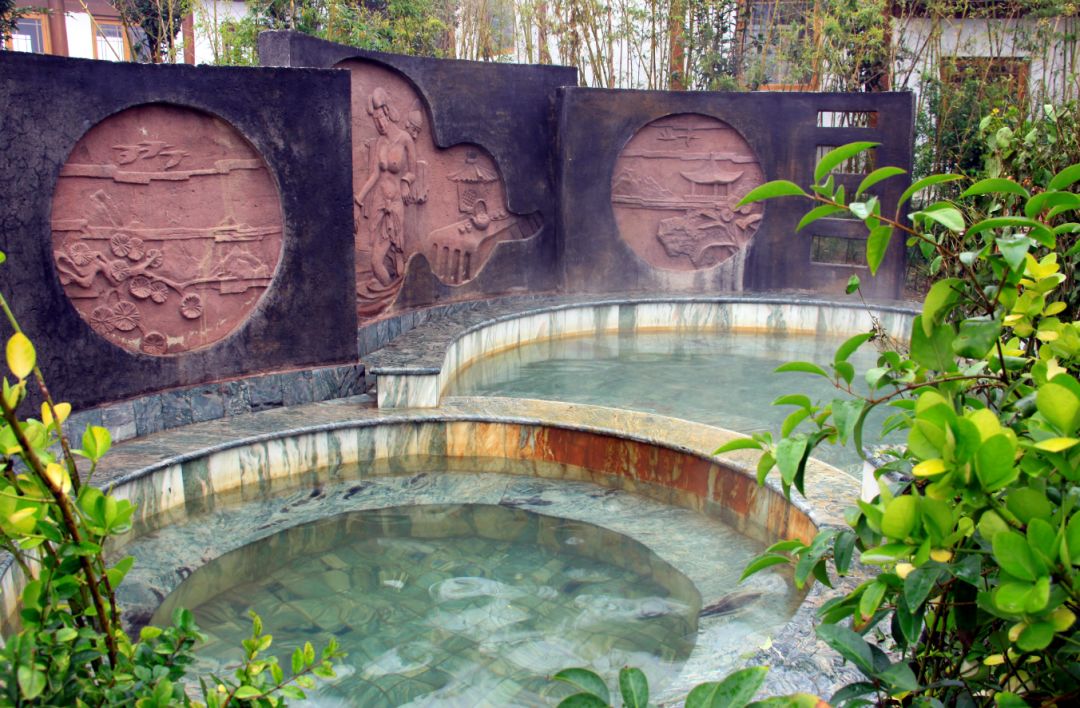 赏花,游乐,泡温泉,德百温泉旅游小镇邀逆行英雄共赴疗愈之旅