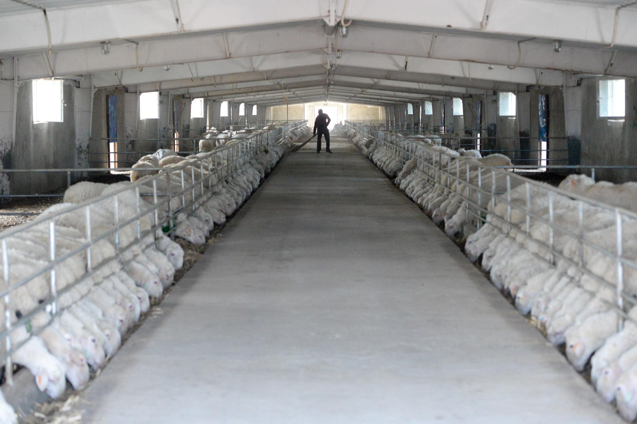 新疆叶城:春到扶贫搬迁点