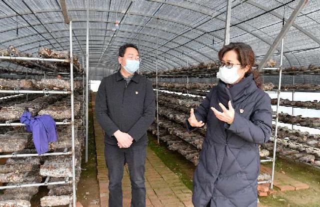 河南遂平:摸清家底施援手 战疫战贫双推进|疫情|新冠肺炎_新浪新闻