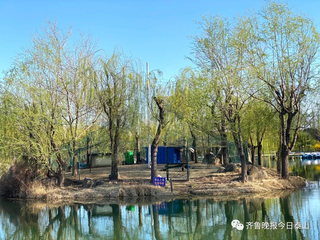 棒!南湖公園,東湖公園,金山公園今起恢復開放!