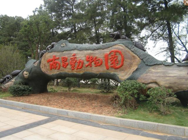 就在今天!南昌动物园恢复开放,医生,护士年内免费入园|半价票|新冠肺