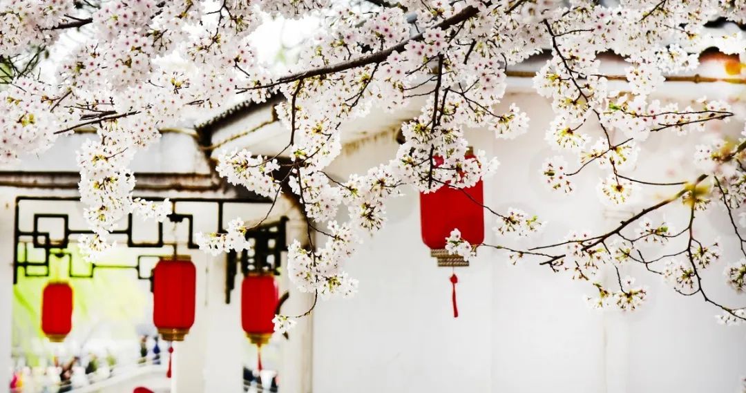 春色正中分愿花开疫散春暖人间