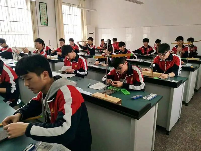 阜阳中考成绩排行_今年阜阳中考分数大幅调整!专家解读!