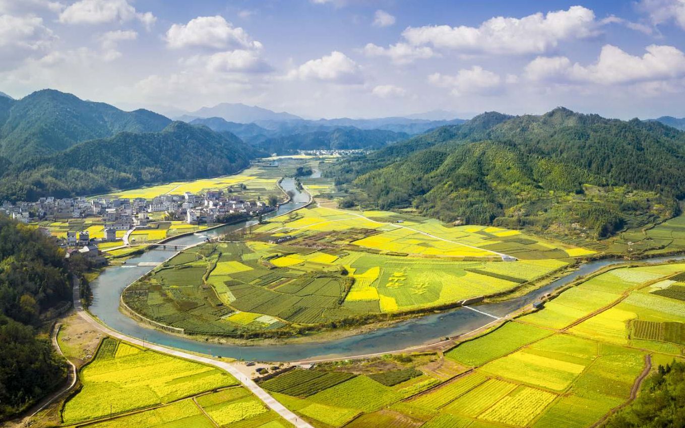 皖南油菜花盛开航拍下的安徽休宁花田另有玄机