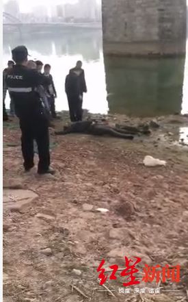 播被不起爆炸为当武磊围拢外投务超网络万元误