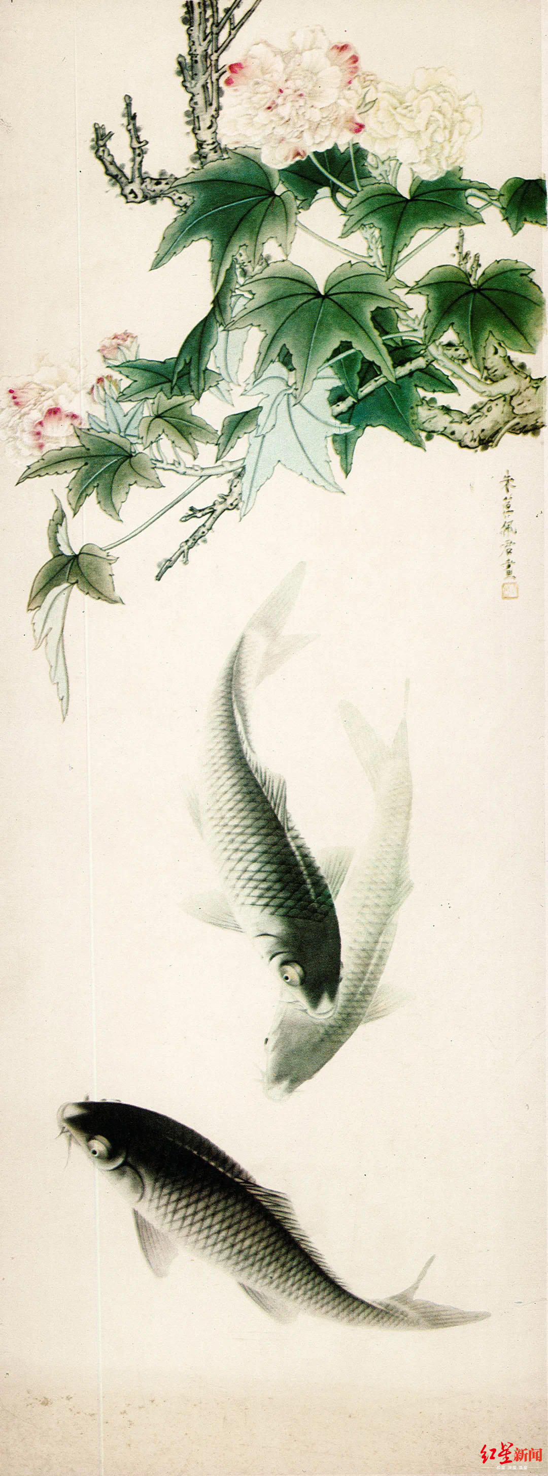 《芙蓉鲤鱼》朱佩君1957年 工笔花鸟  中国美术馆藏