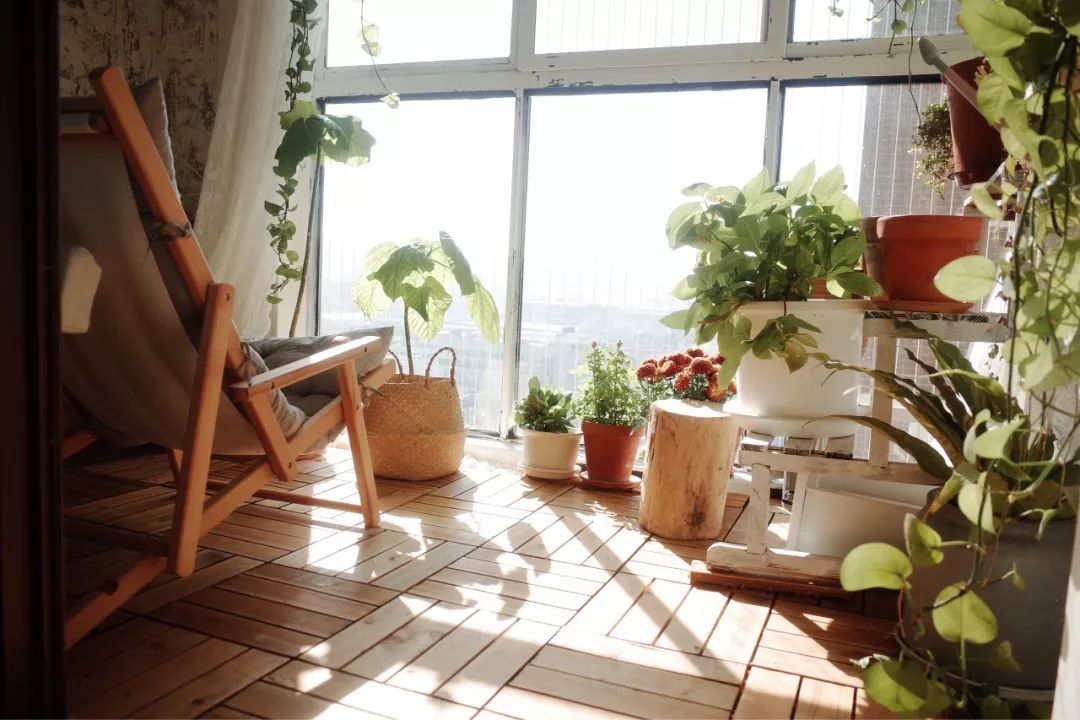 阳台除了晒衣服,还能做什么呢?