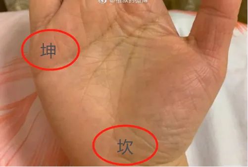 手相坎宫位置五行属水,为根基,为祖荫,坎宫在手掌根部,坎宫为生命线之