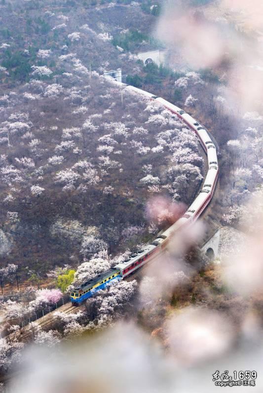 被警北京被伪比媒韦德7万汪涵