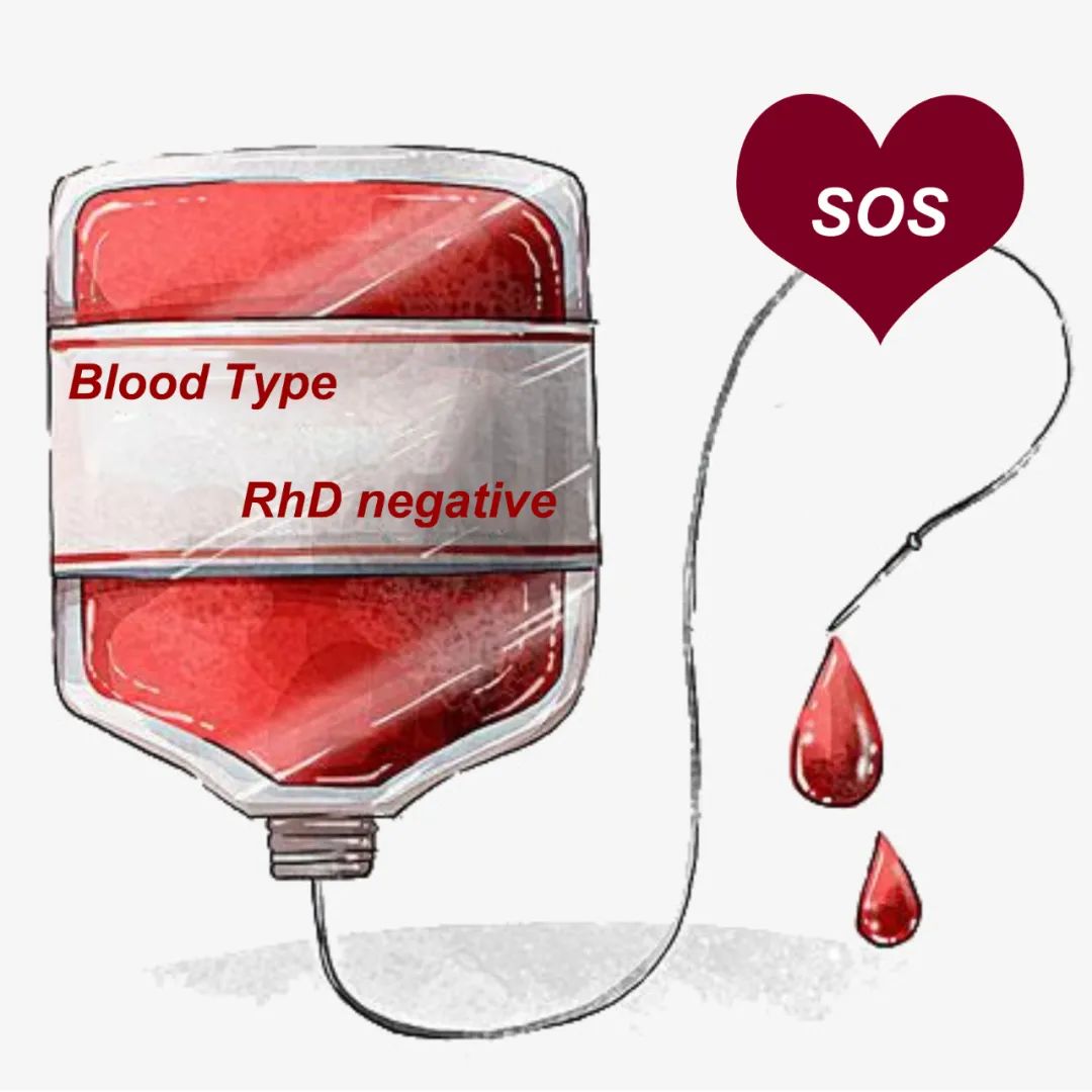 浙大团队成功研制"通用熊猫血"