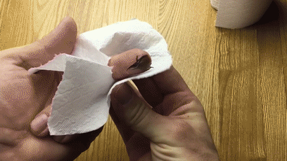 抢不到卫生纸的外国人都准备用什么擦屁股?