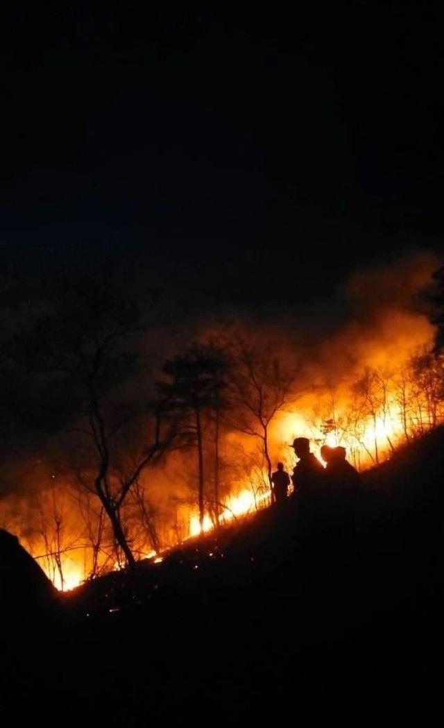 因村民上坟,庐江两座大山发生大火|上坟|冶父山|村民_新浪新闻