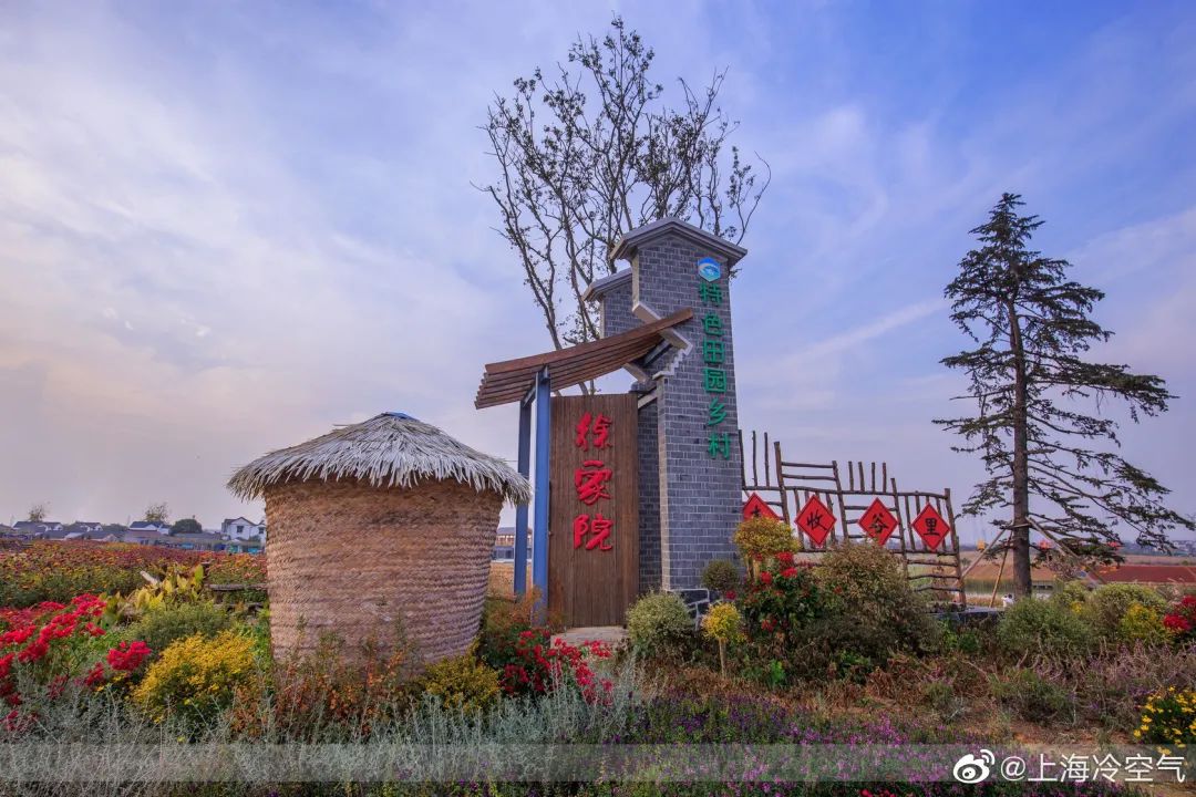 南京江宁徐家院万株郁金香与你约会