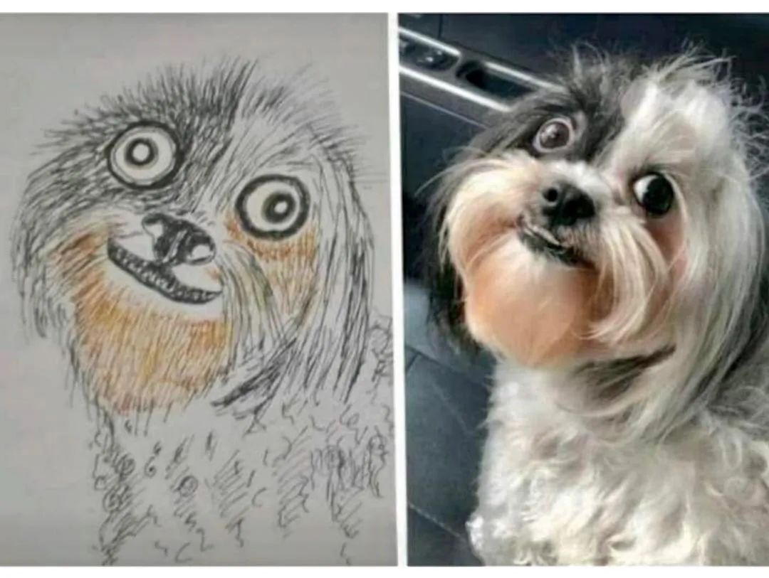 网友临摹失败作品大赏,这样的照猫画虎你受得了?