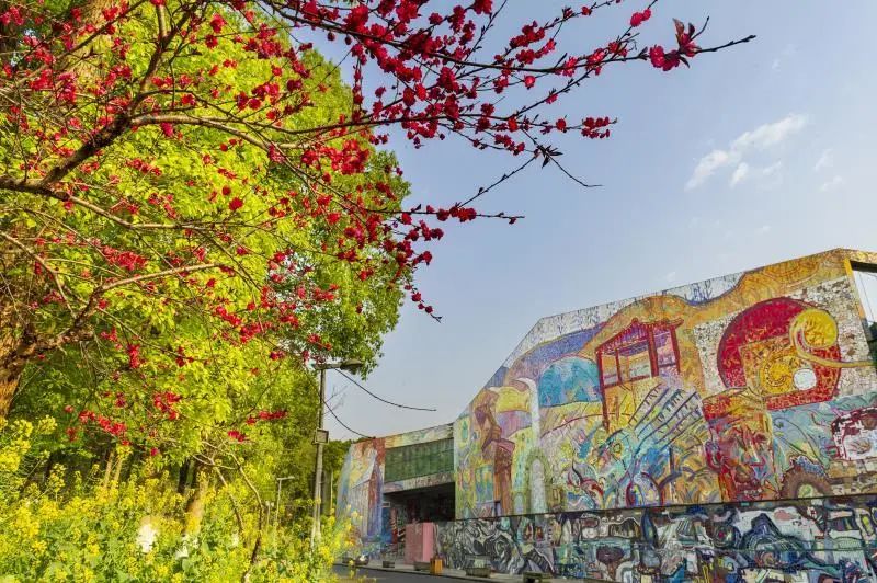 阳春三月云赏川美校园春色