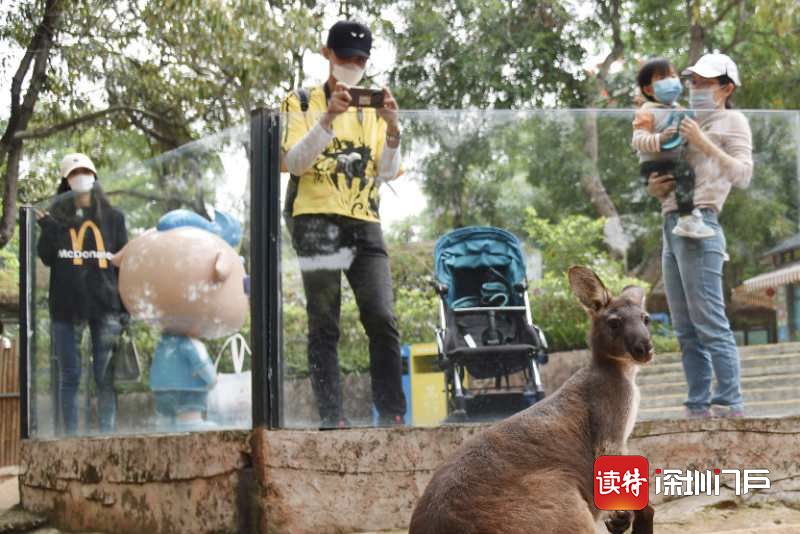 昨天，杭州景区堵成这样！北京市民排队赏春，成都的夜亮了，湖北也渐渐动了起来…休闲区蓝鸢梦想 - Www.slyday.coM