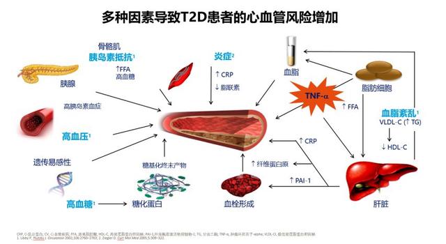 糖尿病合并心血管疾病风险高防治它循证要先行