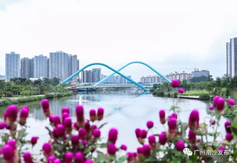 南沙gdp2020每月gdp_2020上半年广州各区GDP出炉越秀、天河、南沙增速“扭负为正”