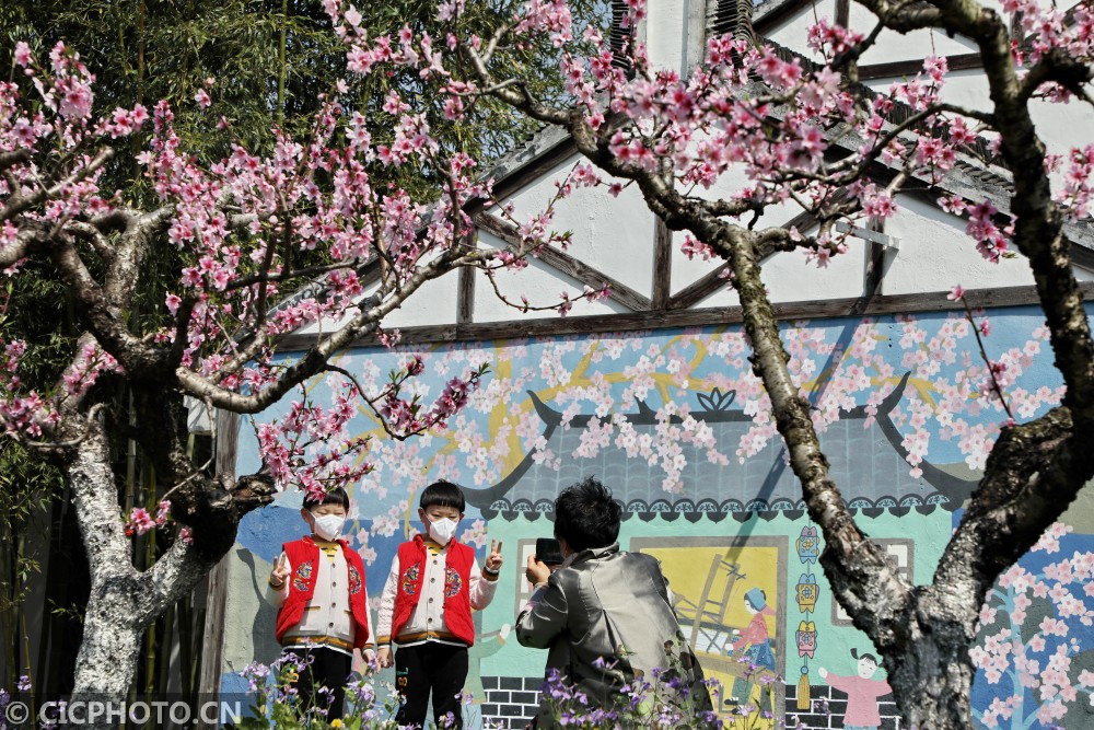 3月20日在上海市金山区吕巷镇和平村里拍摄的"壁画村"春景.