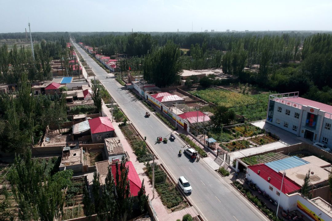 发展庭院经济促进乡村振兴以广东省对口援助新疆为例