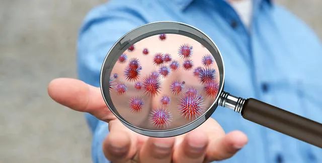 igg|病毒感染|新冠肺炎_新浪新闻