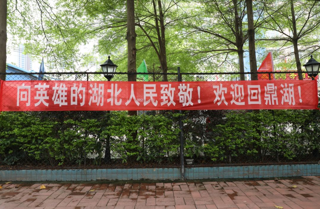 欢迎回来!我的湖北朋友们,肇庆为你送上"家的温暖"