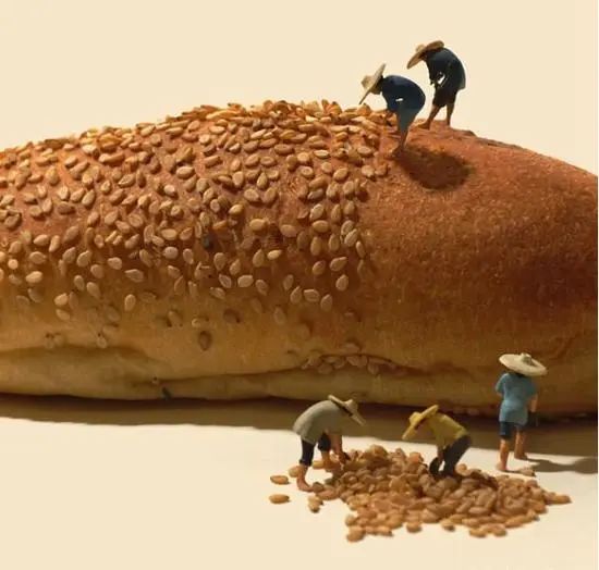 不要进来,脑洞清奇的"微观世界"太美!