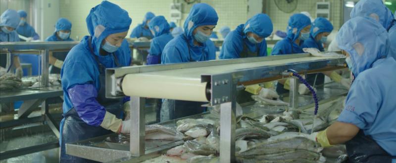 【珠三角蓄势加力抢先机⑤】珠海:云卖鱼,合作社 特色农业灵活转身