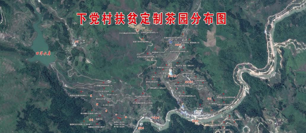 农业产业定制模式促乡村振兴——福建省下党乡定制茶园扶贫案例