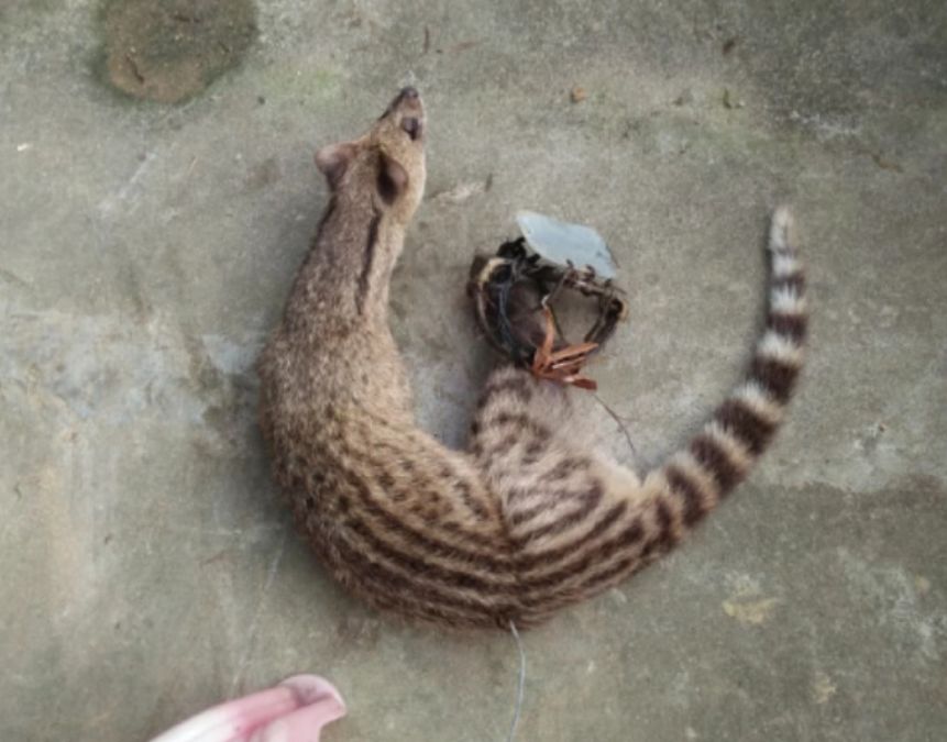 我们可能改变不了这一集,但大结局的剧情已经不同