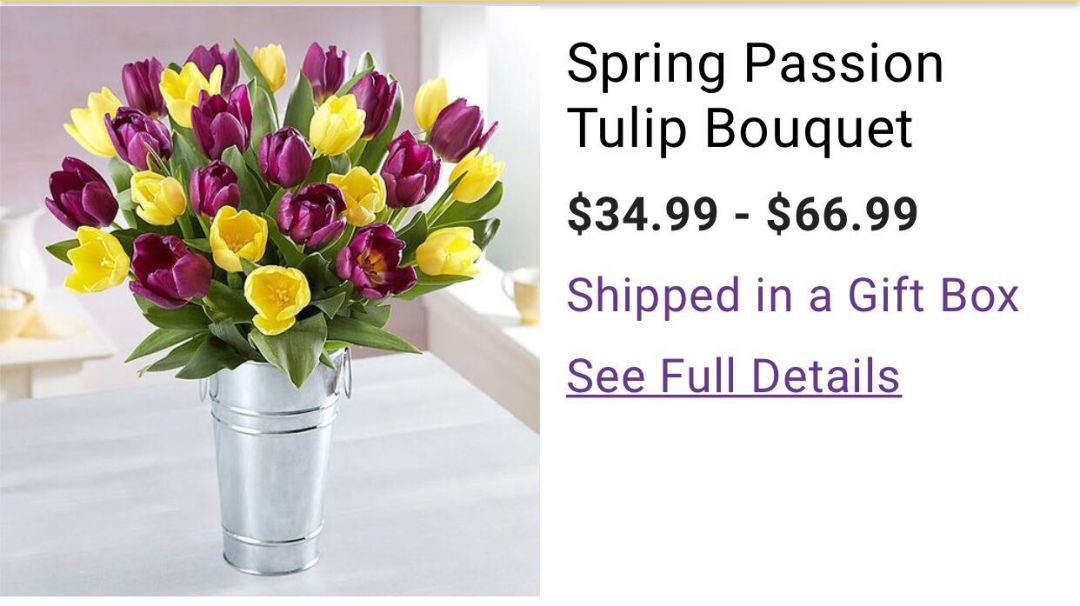 花市成花冢 花农哭 葬 百万鲜花 荷兰政府 别怕 有我 财经头条