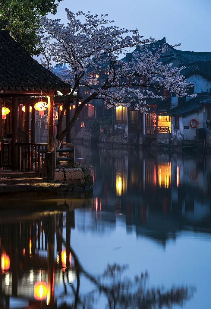 杏花,春雨,江南|视觉中国|烟雨|箬笠_新浪新闻