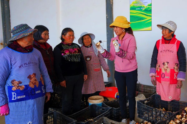 曲靖陆良:推行"家门口就业"助力脱贫摘帽|陆良县|郭小丽|黄家圩_新浪