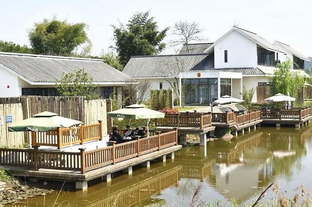 我单方面宣布新津是今年的最佳春游地