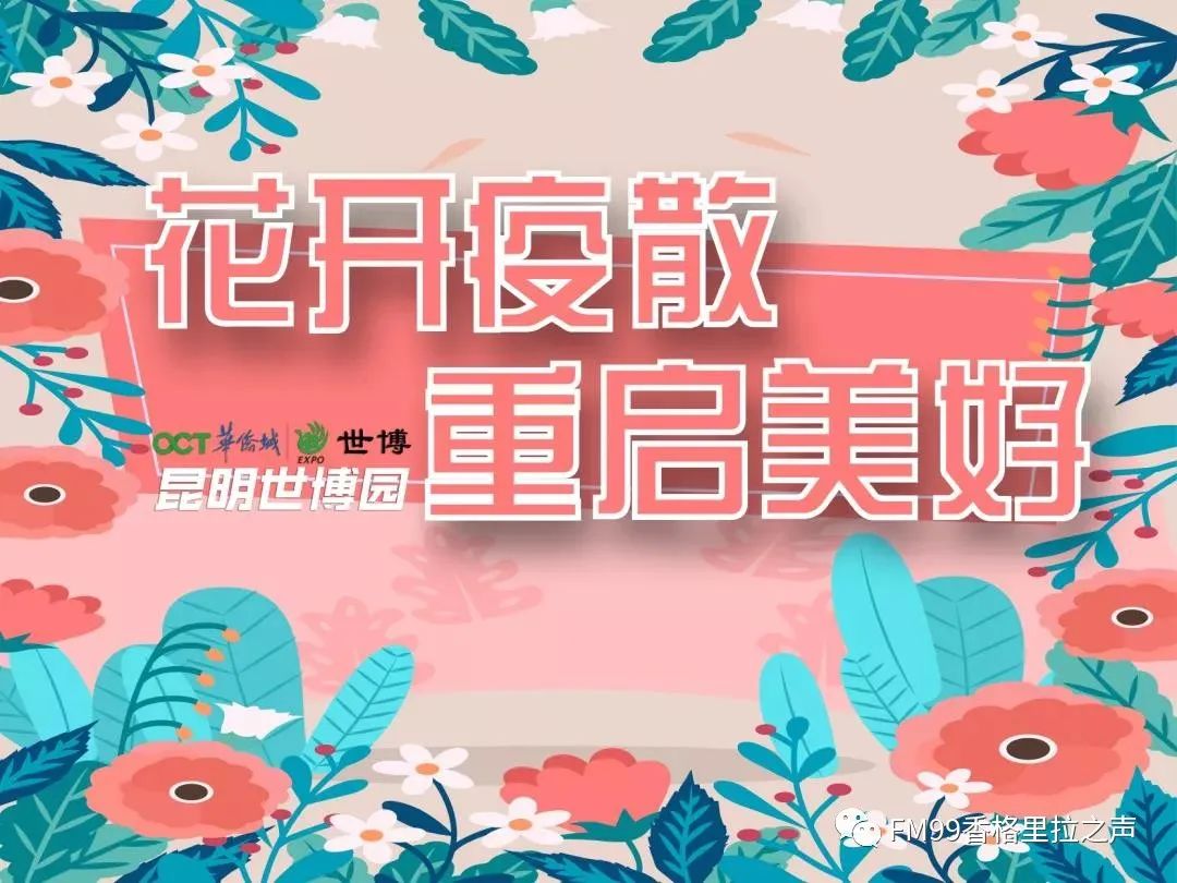 官宣昆明世博园旅游区恢复开放啦