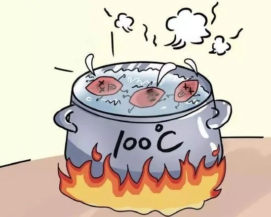 【知识】买回家的蔬菜会沾染病毒吗?记住这6个要点,食用更放心